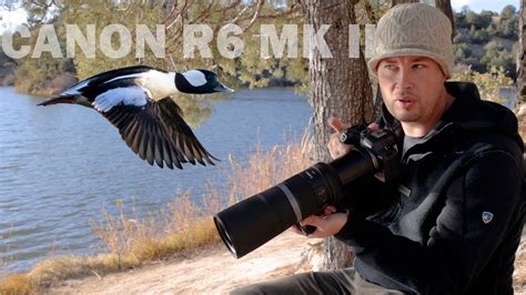 Focal length, 800 mm. . Canon r6 for wildlife photography